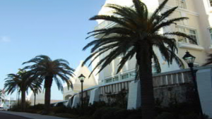 RTBLF & Seon Place, Bermuda